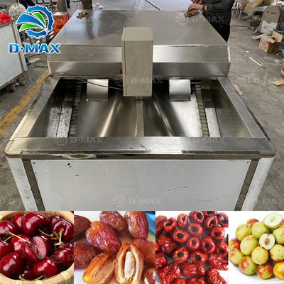 Entwurf der Olivenschälmaschine und der Frucht-Pitting-Maschine mit 304 Edelstahl-Rohmaterial