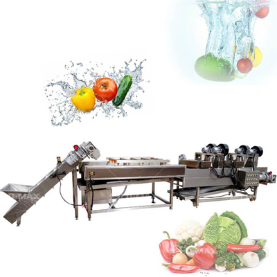 Tomatenwaschmaschine für kleine Verarbeitungsbetriebe