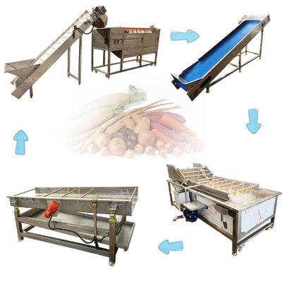 Produktionslinie mit verstellbarer Geschwindigkeit für Salat, Kohl und Salatblattgemüse