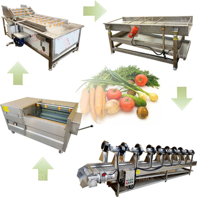 Jahr 2023 Mehrzweckmaschine zur Reinigung von Obst und Gemüse mit einer Kapazität von 500 kg/h