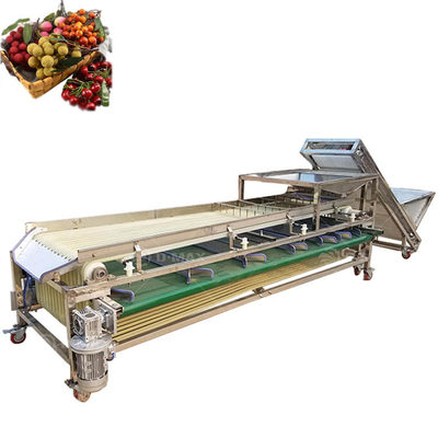 Multifunktionale Sortiermaschine für Palmjujube und Datteltomaten