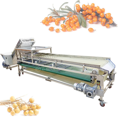 Multifunktionale Sortiermaschine für Palmjujube und Datteltomaten