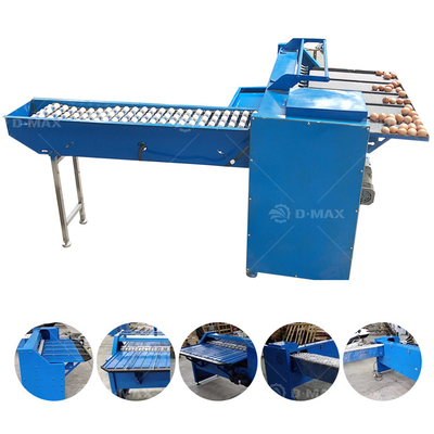 280 KG Gewichtskapazität Ei Sorter Einstufung Prozesslinie Waage Stückelmaschine Wiegen