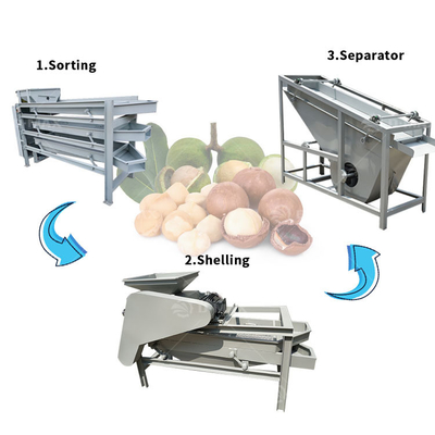 Produktion von Palmkernel-Cracking-Maschine mit Mandelschalen-Kernel-Trennfunktion