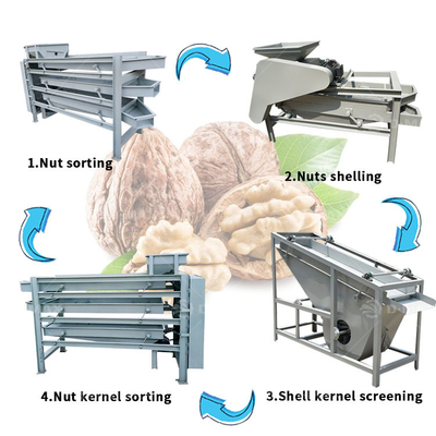Produktion von Palmkernel-Cracking-Maschine mit Mandelschalen-Kernel-Trennfunktion