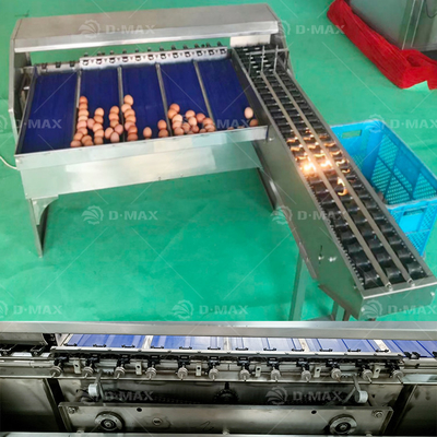 Hohe Produktivität Ei-Gewichts-Sortiermaschine für Hühnerfarmen Verbesserte Ei-Verarbeitung
