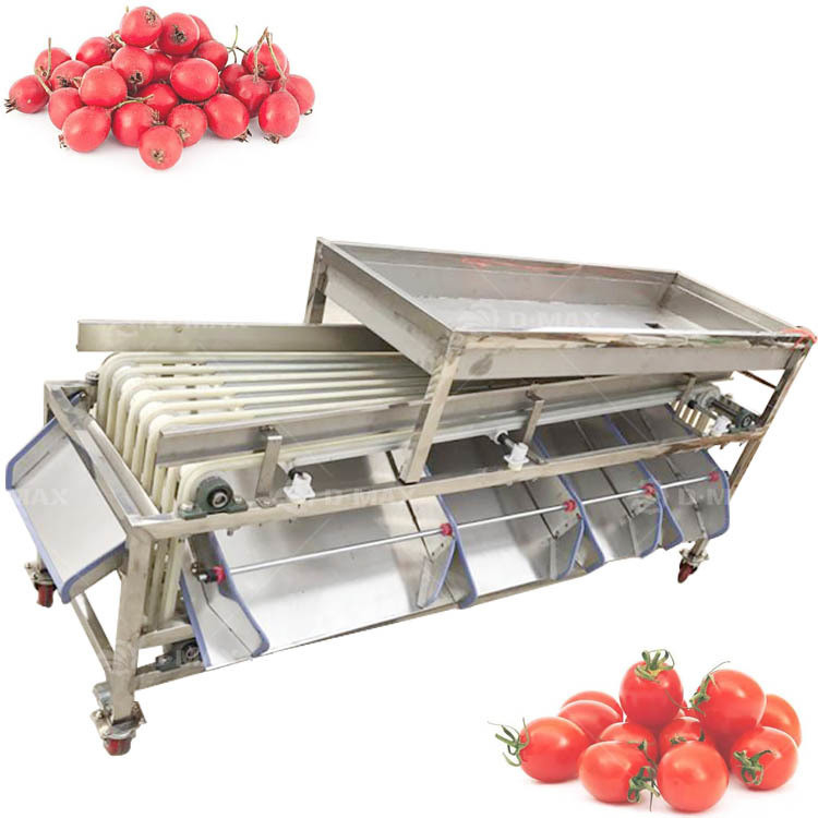 Multifunktionale Sortiermaschine für Palmjujube und Datteltomaten