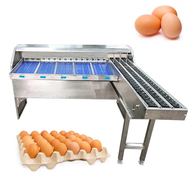 Bestes automatisches Ei-Klassifiziergerät für die genaue Sortierung der Eierstufen